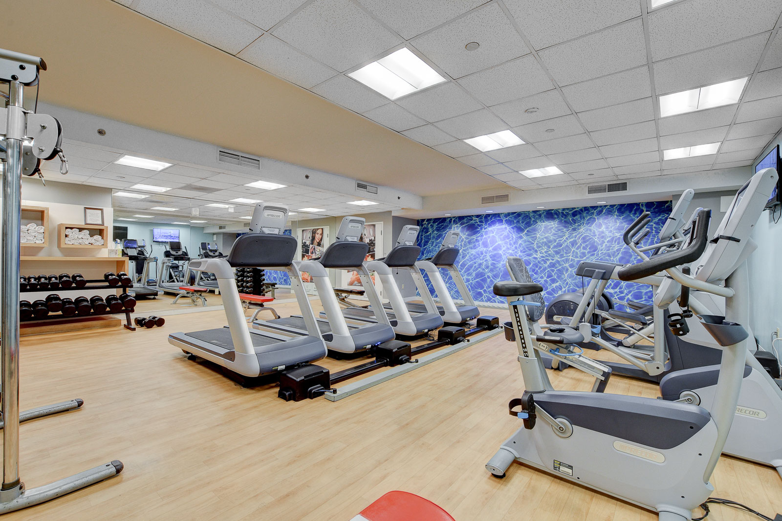 211 E Flamingo Rd Unit 619027